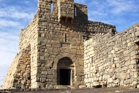 Amman - Excursion d'une journée dans les châteaux du désert et la réserve de la zone humide d'AzraqAmman, châteaux du désert et réserve de la zone humide d'Azraq Journée complète VAN