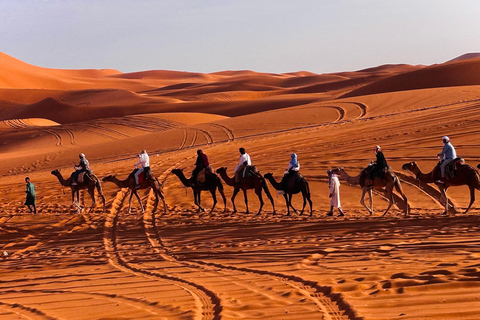 From Marrakech: 3-Day Sahara Desert Tour with Meals & Camp Standard camp in the desert