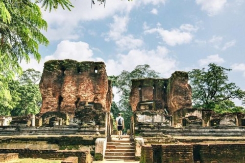 Les anciennes merveilles du Sri Lanka : Le rocher de Sigiriya et Polonnaruwa