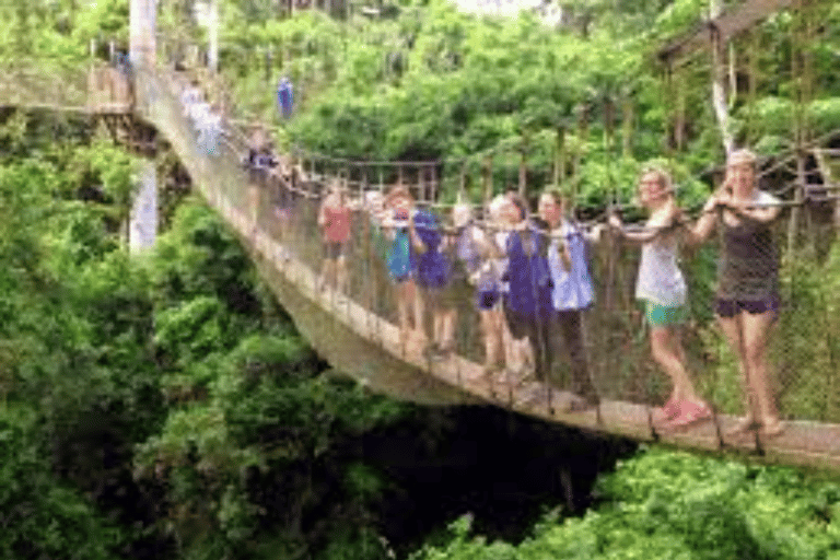 Accra , Cape coast &Kumasi cultural tours 7 days with hotels