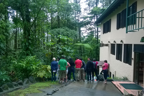 San José: La Fortuna Transfer with Coffee Tour at Doka Farm