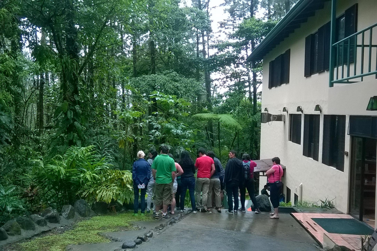 San José: La Fortuna Transfer with Coffee Tour at Doka Farm