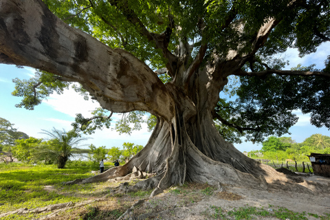 Sine Saloum: 2-Day Delta Boat Tour with Camping Sine Saloum: Delta discovery by boat with bivouac