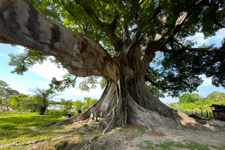 Sine Saloum: 2-Day Delta Boat Tour with Camping Sine Saloum: Delta discovery by boat with bivouac