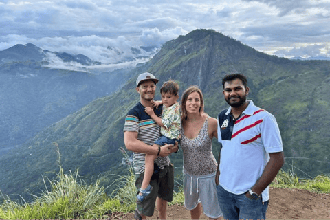 Ella: 1-Day Scenic 6-Highlights & Adventure Tuk-Tuk Tour