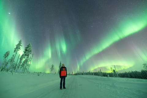 Rovaniemi: Jagd nach den Nordlichtern – kostenlose Fotos, 100 % Geld-zurück-Garantie