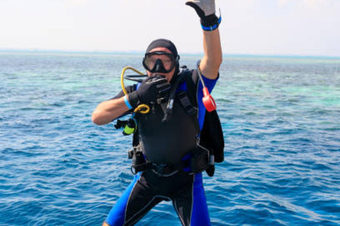 Hurghada: Dive Experience for Beginners or Certified Divers Full-Day Scuba Diving for Certified Divers