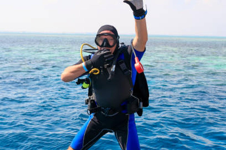 Hurghada: Dive Experience for Beginners or Certified Divers Full-Day Scuba Diving for Certified Divers