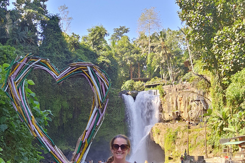 乌布猴林、梯田、秋千、寺庙和瀑布乌布猴林、水稻梯田、秋千、寺庙和瀑布