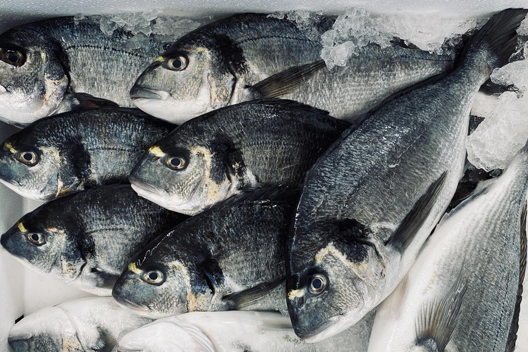 Djerba Seafood Experience: Beachfront Fish & Seafood Tasting Lunch or Dinner