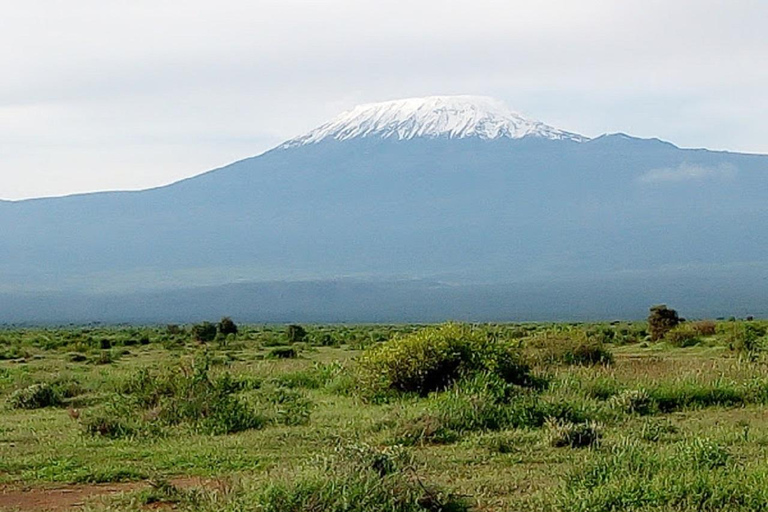 Nairobi: Amboseli National Park Day Trip with Game Drive