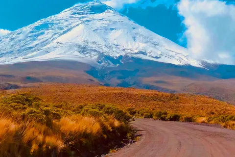 From Quito: Full-Day to Cotopaxi