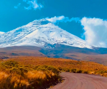 From Quito: Full-Day to Cotopaxi