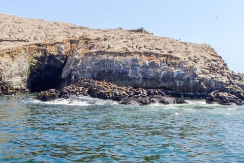 Excursie naar Palomino eiland | Entree, zeeleeuwen |