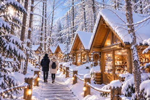 From Sapporo: Blue Pond Illumination & Ningle Terrace