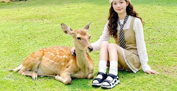 Osaka/Kyoto: Arashiyama, Nara Park & Fushimi Inari Day Tour
