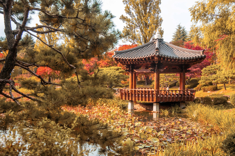 Busan: Gyeongju Autumn Foliage Day Tour with Historic Sites Shared Tour, Meet at Haeundae Station