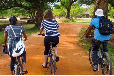 De Dambulla/ Sigiriya : la vieille ville de Polonnaruwa à véloDepuis Dambulla : Ancienne ville de Polonnaruwa à vélo