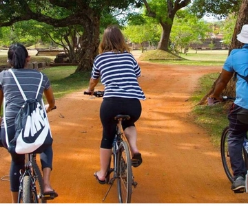 Da Dambulla/Sigiriya: l'antica città di Polonnaruwa in bicicletta