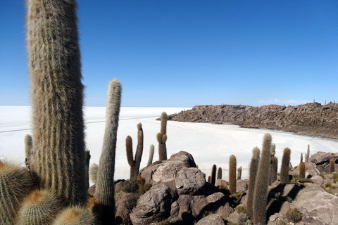 Uyuni: 2-Tage-Salar de Uyuni, Zugfriedhof und Lagunen ...