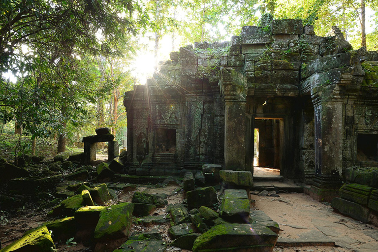 Privat Angkor Park guidad tur (måste-besöka tempel)