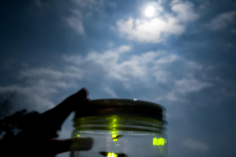 Ubud: Silver Making Class and Fireflies Evening Tour