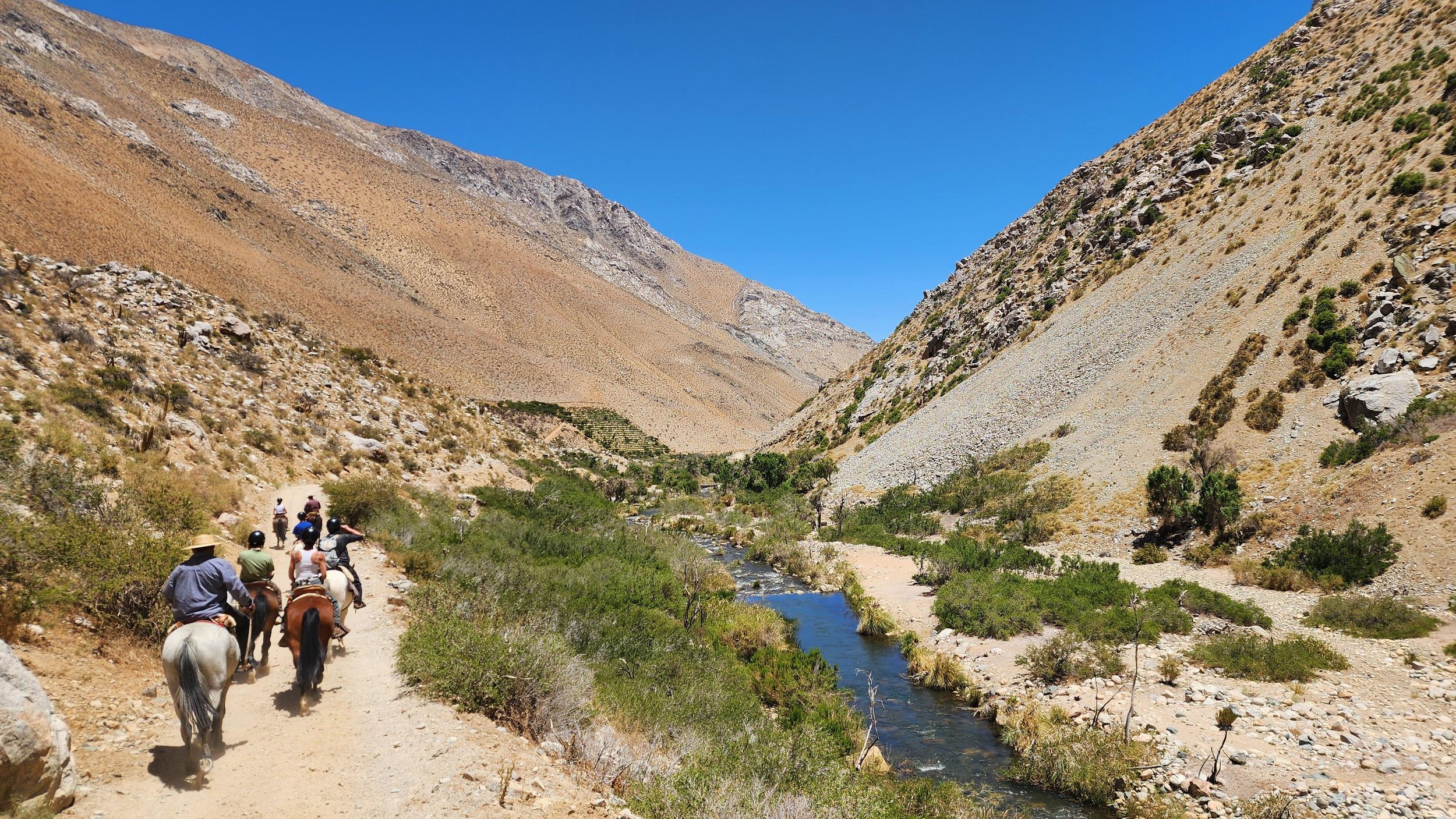 Elqui Valley Sacred Mountains & Cochiguaz River Ausritt (Tibet Antipode)