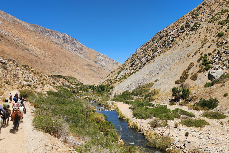 Horseback riding in the Cochiguaz River Sanctuary in the Elqui Valley.