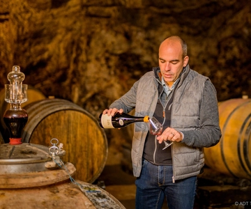 From Tours or Amboise: Loire Valley Wine Tour