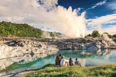 Au départ d&#039;Auckland : Excursion à Te Puia et aux grottes de Waitomo