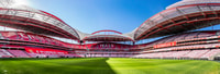 Lissabon, Luz Stadium Tour und SL Benfica Museum Ticket - Housity