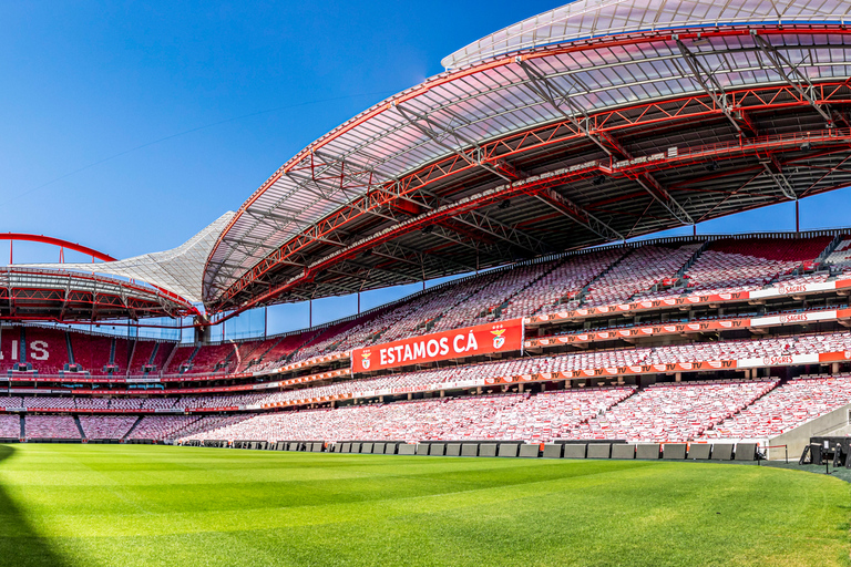 Lisbon: Luz Stadium Tour and SL Benfica Museum Ticket Standard Ticket