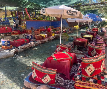 Marrakech: Montañas del Atlas, Valle del Ourika, Cascada y Almuerzo