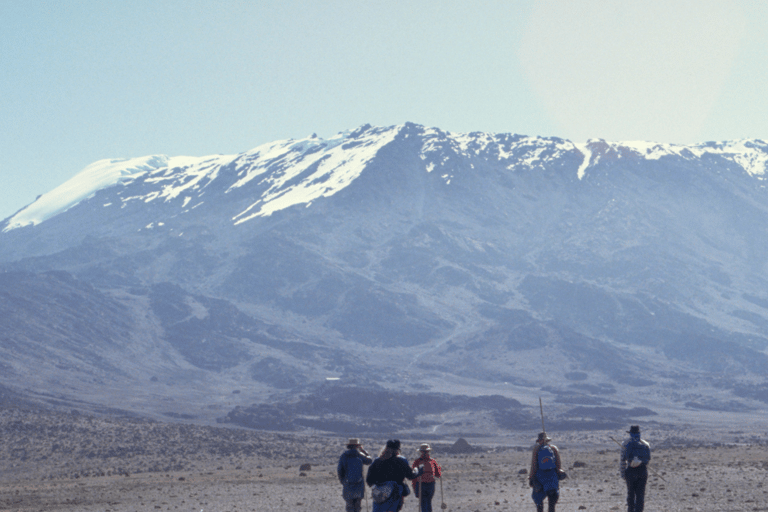 8 Dagen Beklim de Kilimanjaro via de Lemosho Route