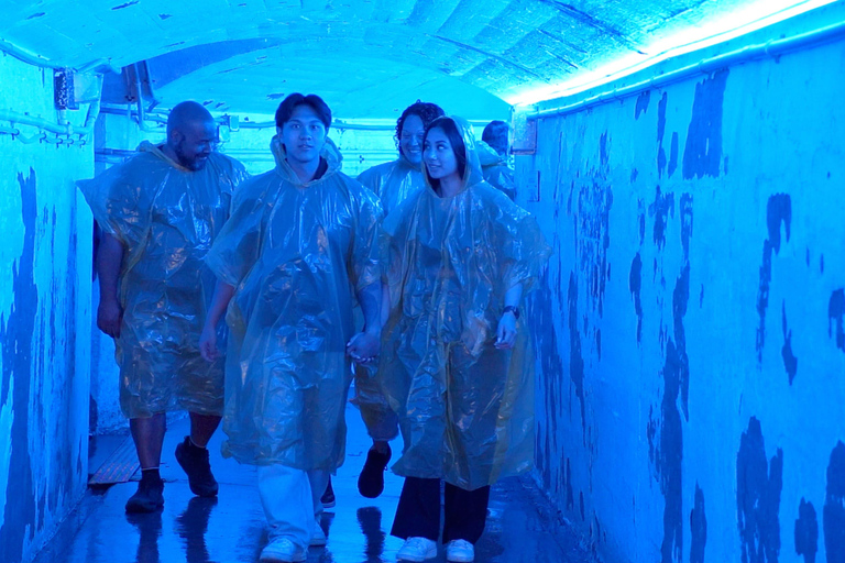 Toronto: Niagara Falls, Boat + Skylon & Journey Behind Falls Toronto to Niagara Falls Day Trip