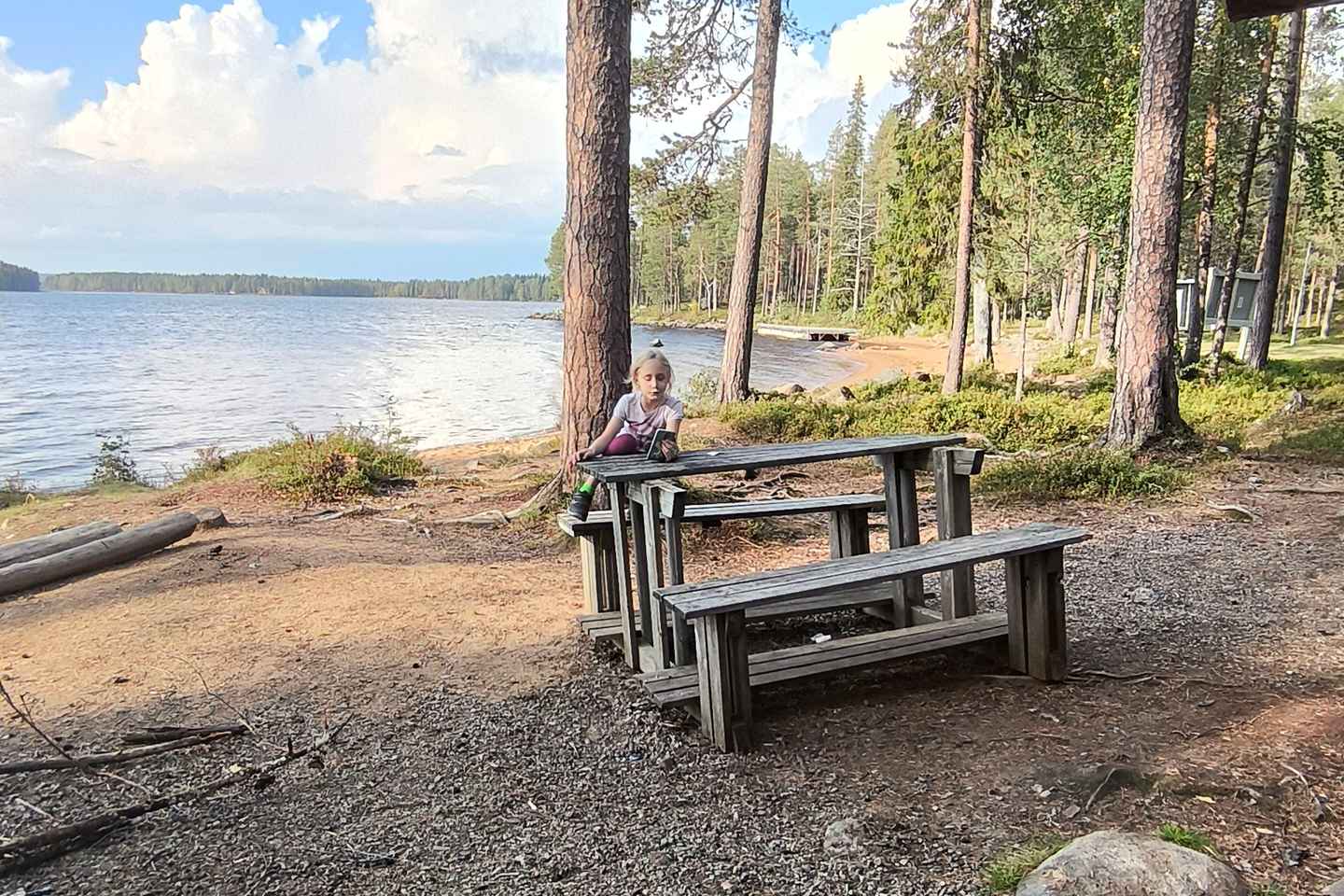 Rovaniemi: Berry Picking Tour with Traditional Laavu