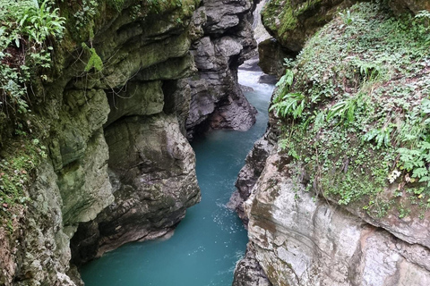 Privado: Aventura en las cataratas de Damajagua con caminata por la selvaPrivado: Aventura en las cascadas de Damajagua con caminata por la selva