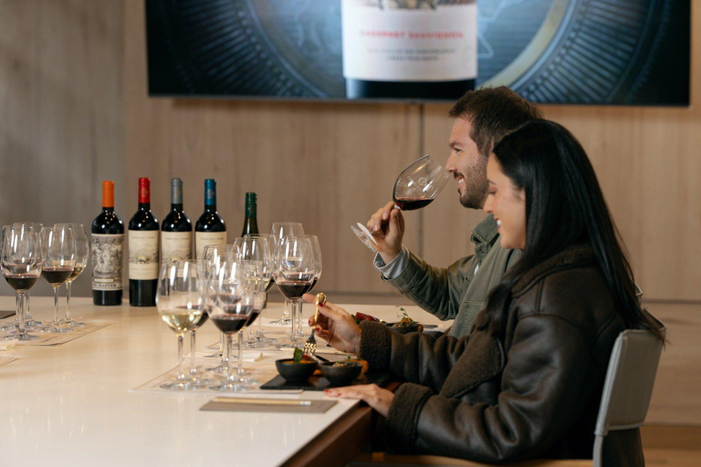 Santiago: The New Wines Concha y Toro Experience Portuguese