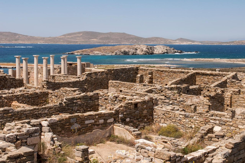 Crucero por Mykonos: champán, barbacoa, demostración de navegación y parada en Delos.Crucero por Mykonos: champán, barbacoa, demostración de vela y parada en Delos