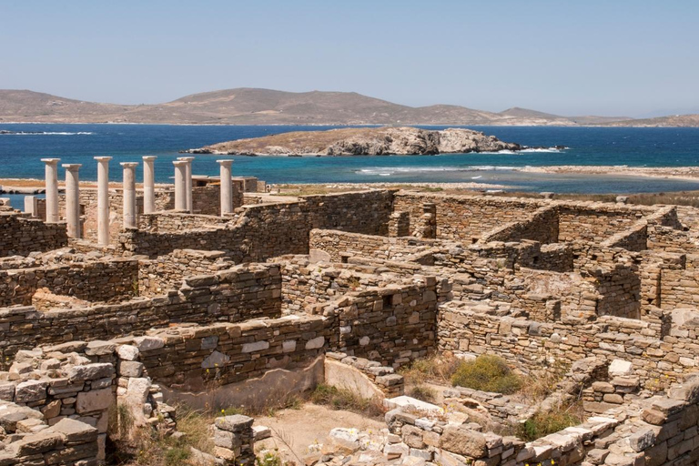 Crucero por Mykonos: champán, barbacoa, demostración de navegación y parada en Delos.Crucero por Mykonos: champán, barbacoa, demostración de vela y parada en Delos
