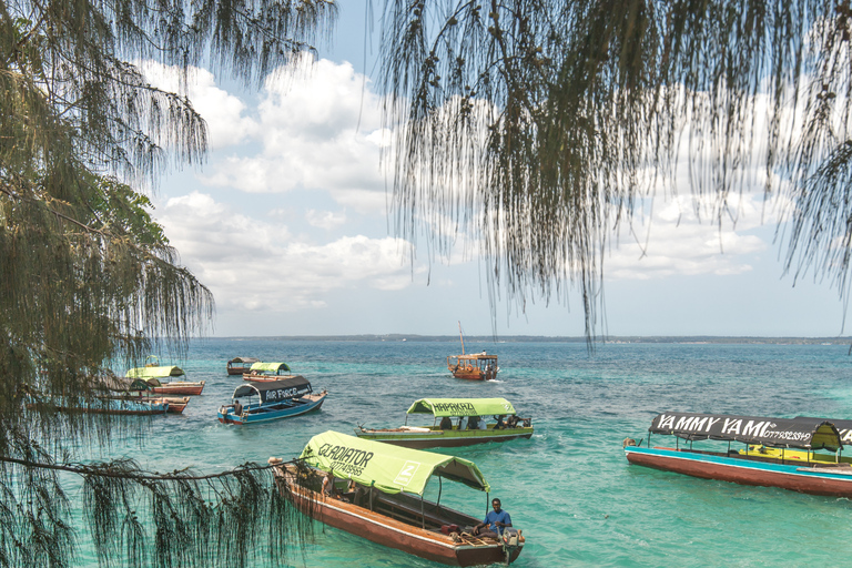 Zanzibar: Prison Island & Nakupenda Boat Trip + Swahili BBQ Prison Island & Nakupenda WITHOUT transfer