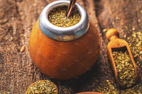 Mendoza: The Mate Experience and Ritual in the Park with Locals