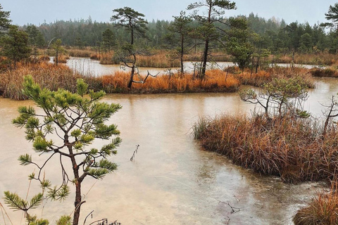 Paysages lettons : Visite guidée de Kemeri et Jurmala