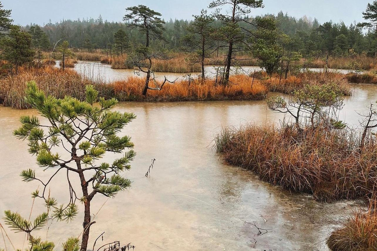 Paysages lettons : Visite guidée de Kemeri et Jurmala