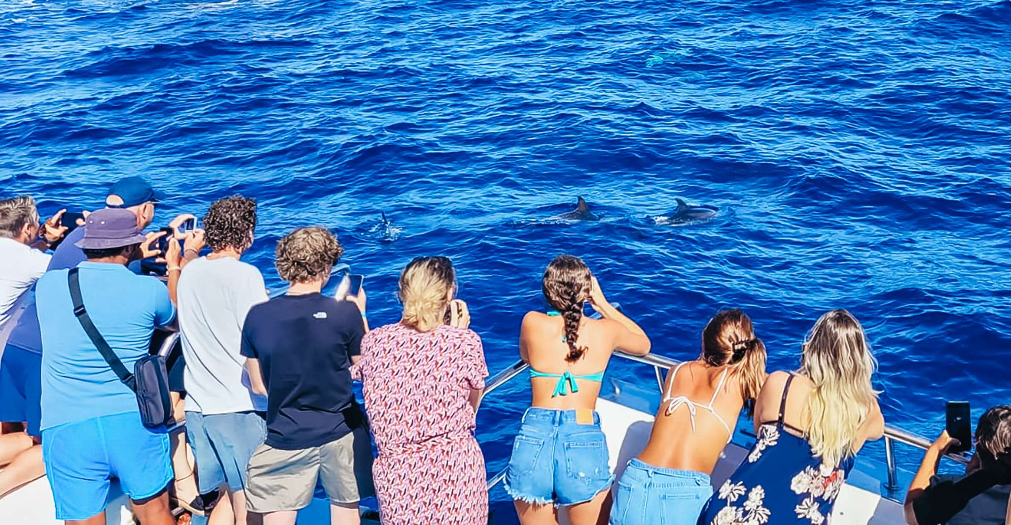 Gran Canaria, Catamaran Dolphin Watch Cruise with Snorkeling - Housity