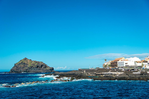 West Tenerife: Icod, Garachico & Masca Scenic Route Tour West Tenerife – Private Experience