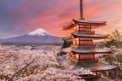 From Tokyo: Mount Fuji Full Day Customizable Private Tour