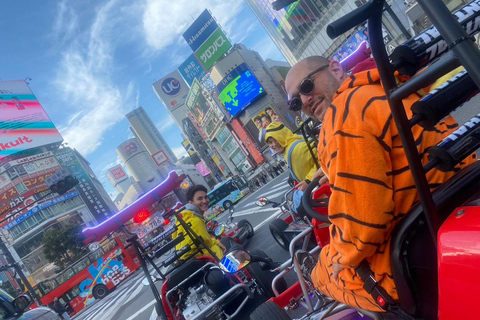 Tokyo: Kör genom gatorna i Shibuya med Go Kart