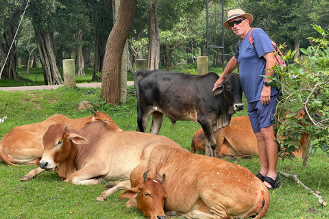 Anuradhapura: Heritage Mountain bike Tour
