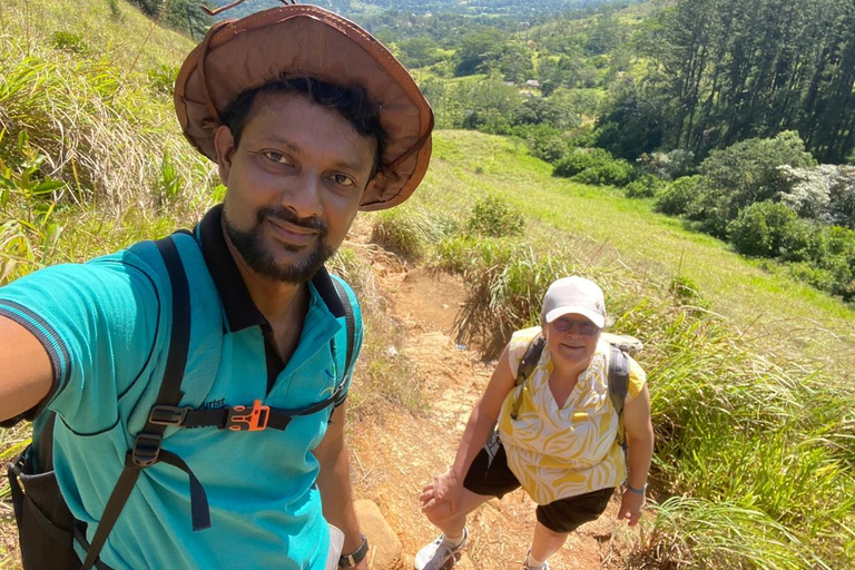 Kandy: City Tour by Car with Hiking and Bird Watching